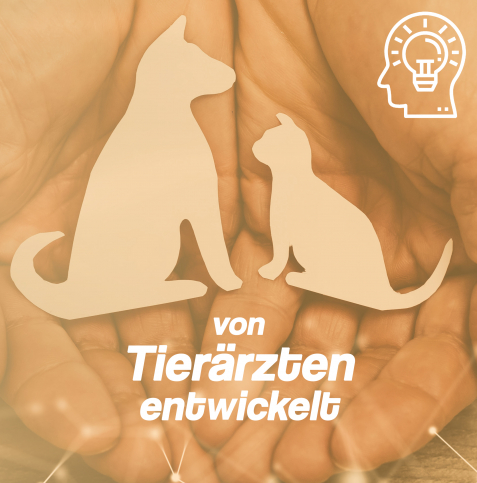 Erste Hilfe Hund