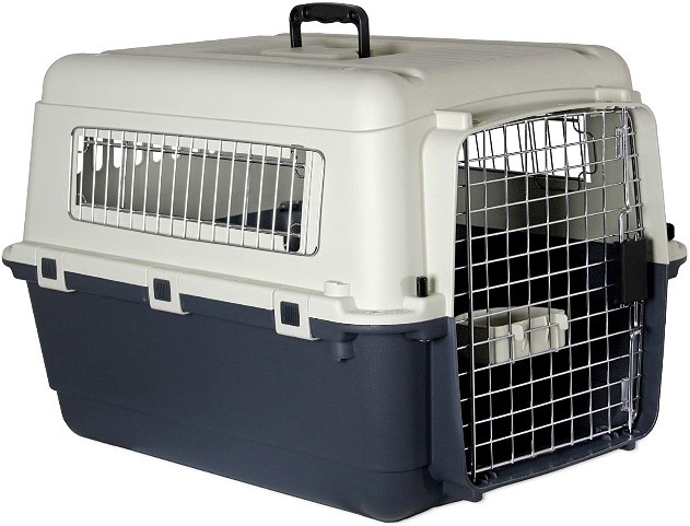Hundebox Auto 2