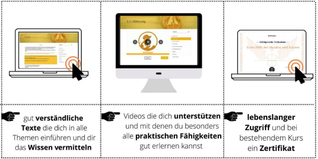 hunde Kurs Inhalt